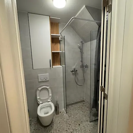 Divcibora