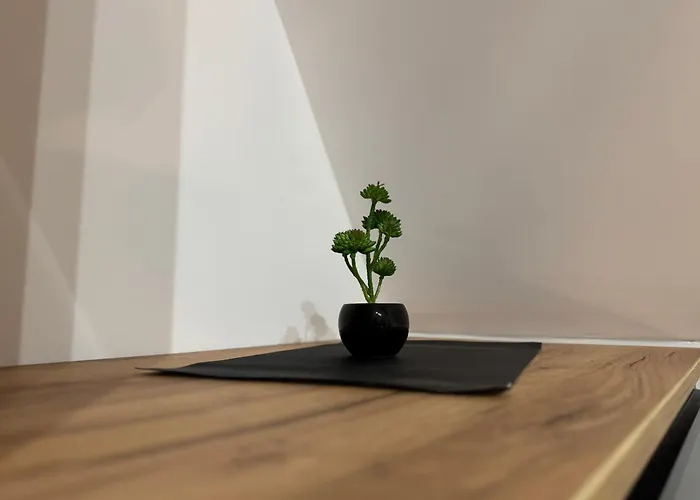 דירה Divcibora Divčibare